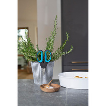 Ножиці садові GARDENA HerbCut (12214-20.000.00)