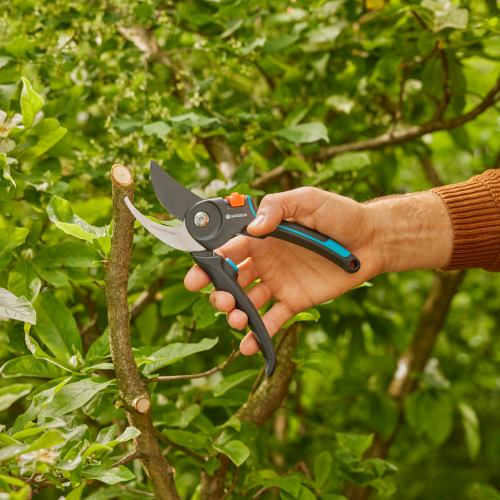 Секатор GARDENA PremiumCut Pro fresh wood 215 мм (12251-20.000.00) Покупка Секатор GARDENA PremiumCut Pro fresh wood 215 мм (12251-20.000.00)