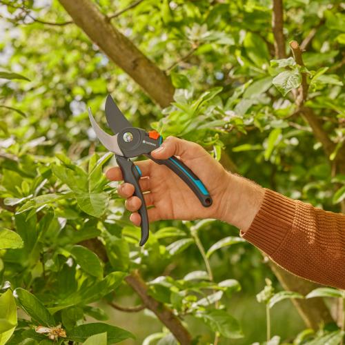 Секатор GARDENA PremiumCut Pro fresh wood 215 мм (12251-20.000.00) Обзор Секатор GARDENA PremiumCut Pro fresh wood 215 мм (12251-20.000.00)