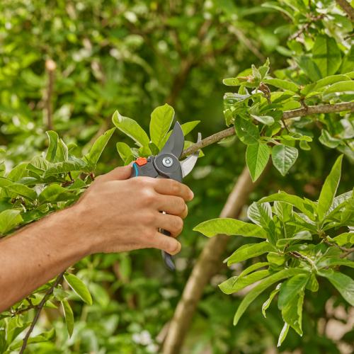 Секатор GARDENA PremiumCut Pro fresh wood 215 мм (12251-20.000.00) В Фокстрот Секатор GARDENA PremiumCut Pro fresh wood 215 мм (12251-20.000.00)