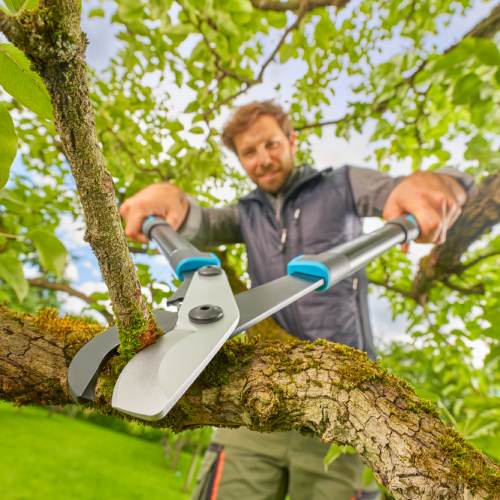 Изображение Веткорез GARDENA EnergyCut Pro S 602 мм(12050-20.000.00)