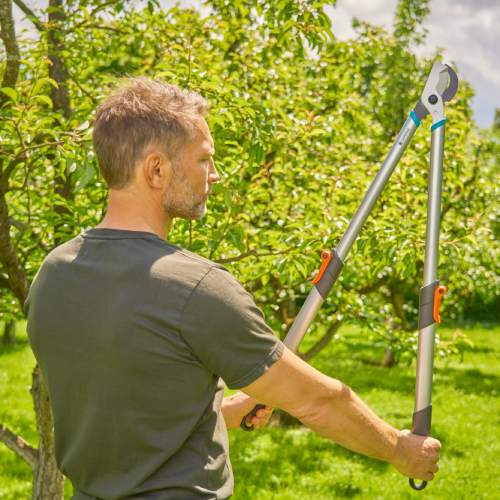 Изображение Веткорез GARDENA TeleCut basic 656 мм (12020-20.000.00)