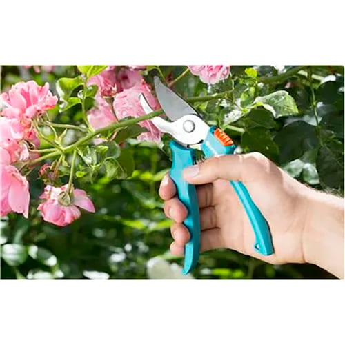 Фото Набір садових інструментів GARDENA Balcony Basics (08966-30.000.00)