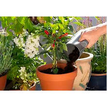 Набір садових інструментів GARDENA Balcony Basics (08966-30.000.00)