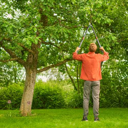 В Украине Веткорез GARDENA TeleCut Pro L 646 мм (12041-20.000.00)