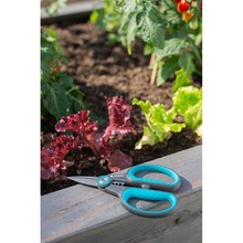 Ножиці GARDENA HerbCut (12214-36.000.00)