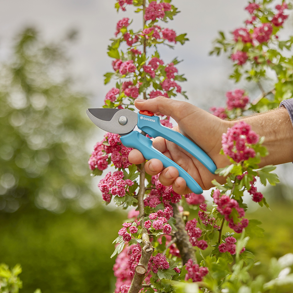 Фото Секатор GARDENA EasyCut обвідний 20 мм (аналог 08754-20.000.00) (12230-20.000.00)