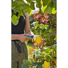 Ніж для збирання врожаю GARDENA Ніж VeggieCut (12211-30.000.00)