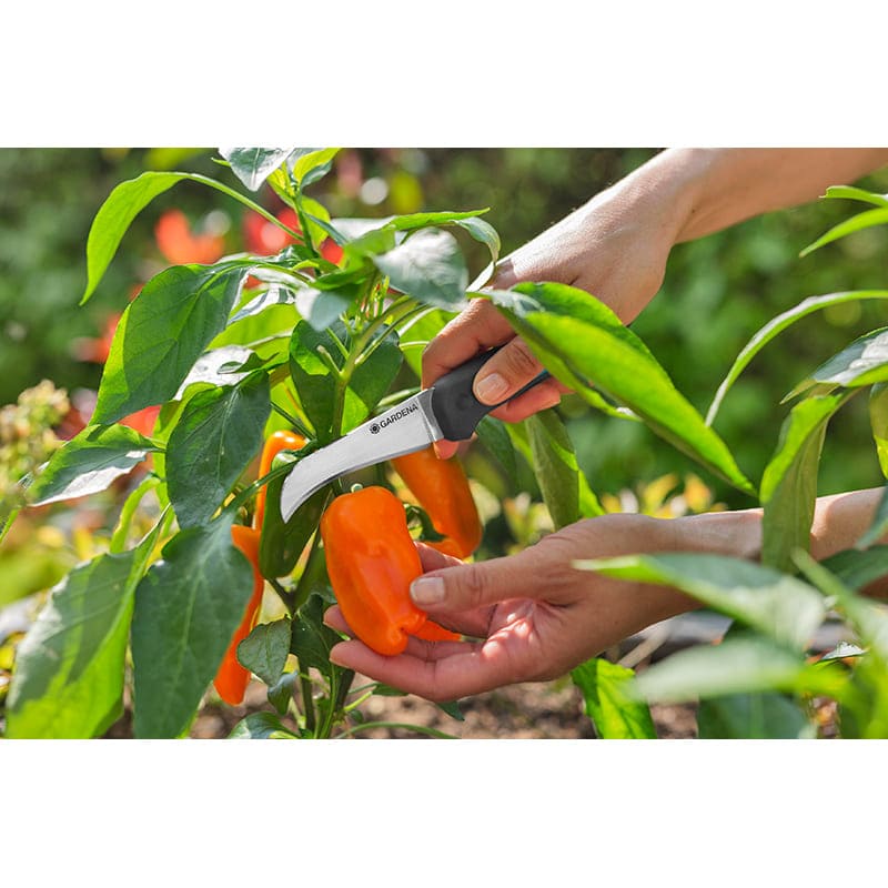 В інтернет магазині Ніж для збирання врожаю GARDENA Ніж VeggieCut (12211-30.000.00)