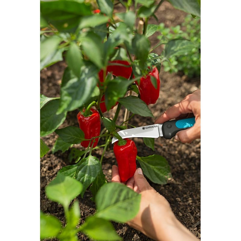 Зовнішній вигляд Ніж для збирання врожаю GARDENA Ніж VeggieCut (12211-30.000.00)