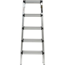 Лестница Кентавр 5Д (148551)