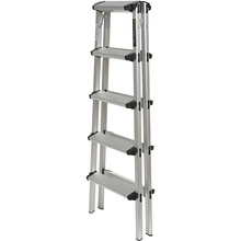 Лестница Кентавр 5Д (148551)