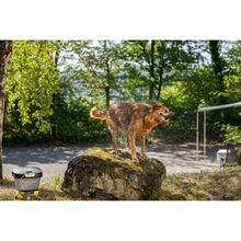 Щітка KARCHER (2.644-421.0)