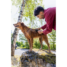 Щітка KARCHER (2.644-421.0)