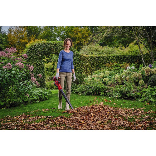 Воздуходувка EINHELL GE-UB 18/250 Li E-Solo Тип ручные