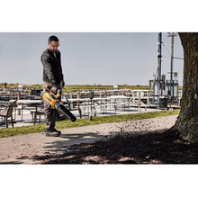 Повітродувка DEWALT DCMBL777X1
