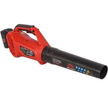 Воздуходувка VITALS Master ALP 1850n BL Kit (235900)