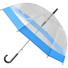 Зонт SEMI LINE Transparent-Blue (2507-4)