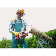 Цепная пила EINHELL GE-LC 18/25 Li Kit 18В PXC (4501761K)