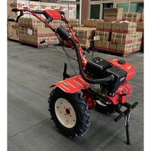 Культиватор FORTE 1350G-3 NEW (119898)