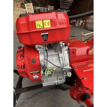 Культиватор FORTE 1350G NEW 12" Red (6906511144780)