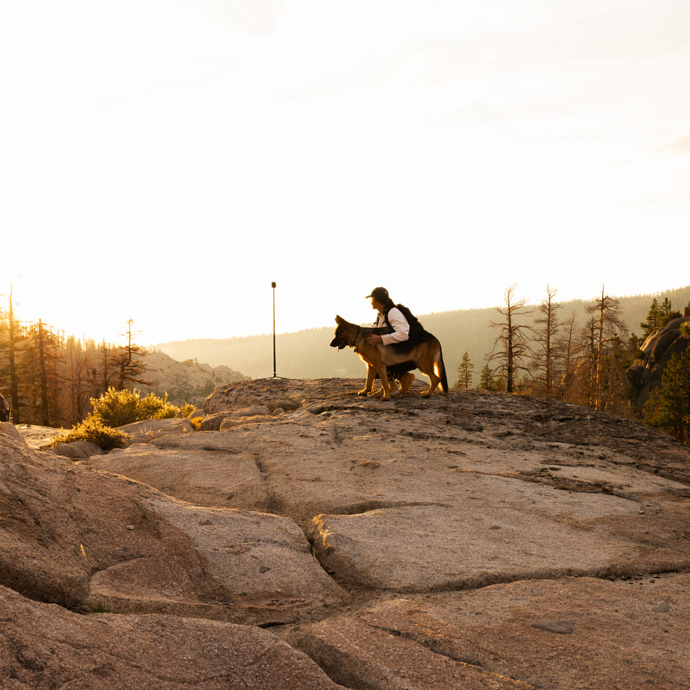 Изображение Штатив GOPRO с шаровой головкой 360° Tripod + Ball Head (ABTTR-001)
