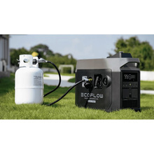 Генератор двопаливний ECOFLOW Dual Fuel Smart Generator (ZDG200-EU)