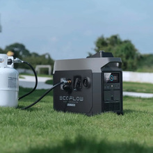 Генератор двопаливний ECOFLOW Dual Fuel Smart Generator (ZDG200-EU)