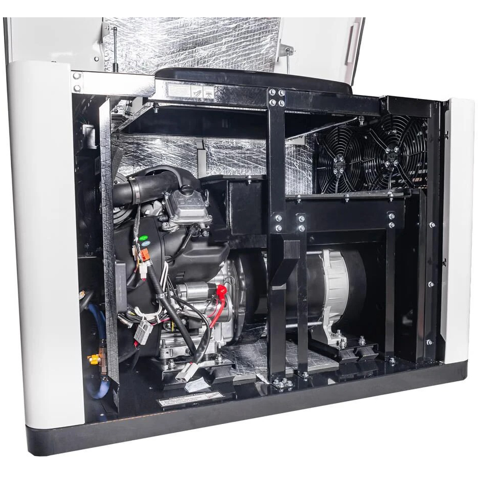 Фото Генератор газовий ENERSOL ENNG-17000SATS