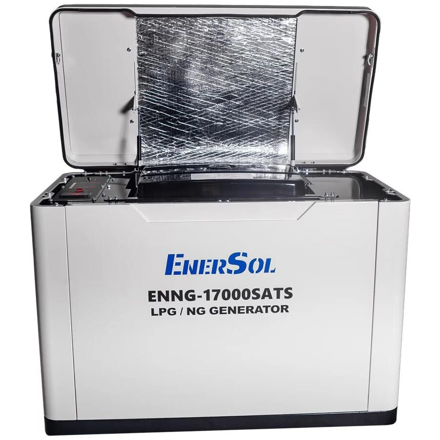 Генератор газовий ENERSOL ENNG-17000SATS Тип альтернатора синхронний
