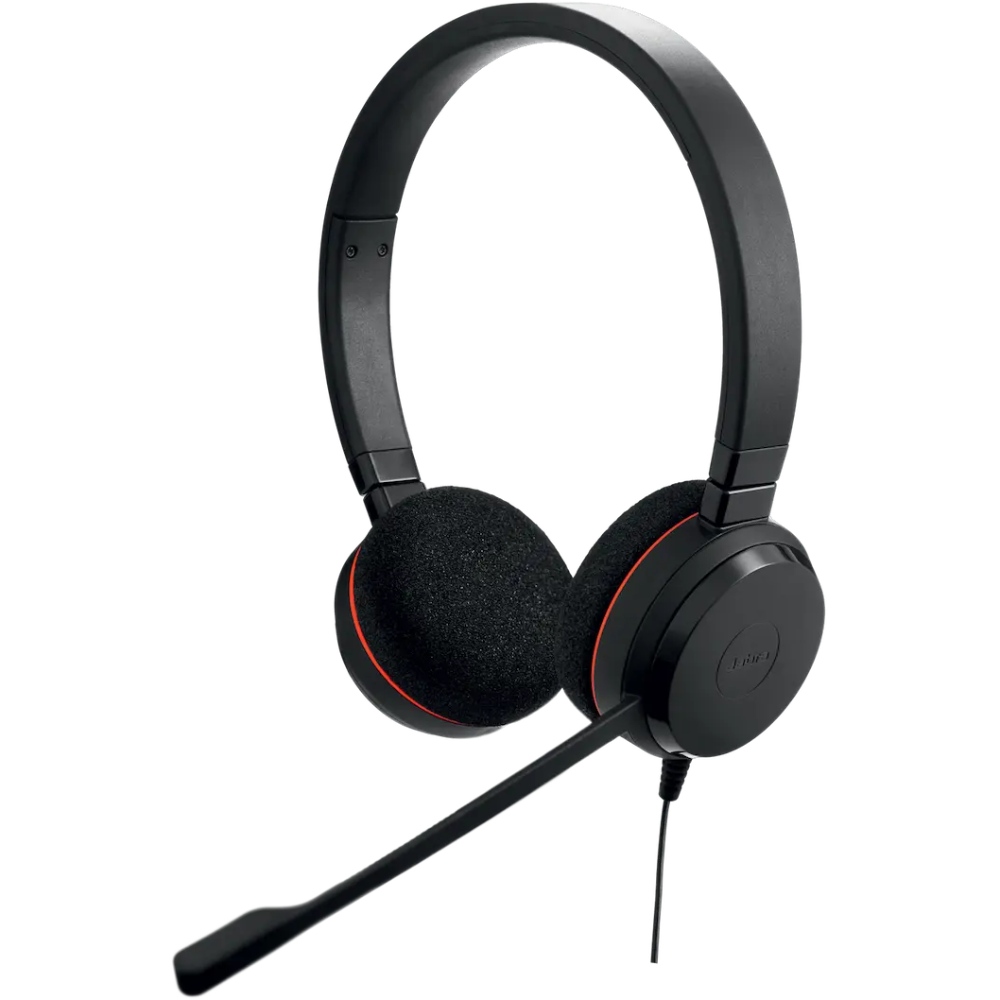 Гарнитура JABRA Evolve 20 (4999-823-169)