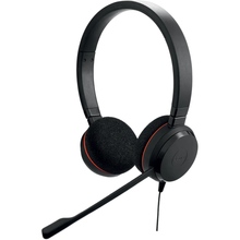 Гарнитура JABRA Evolve 20 (4999-823-169)