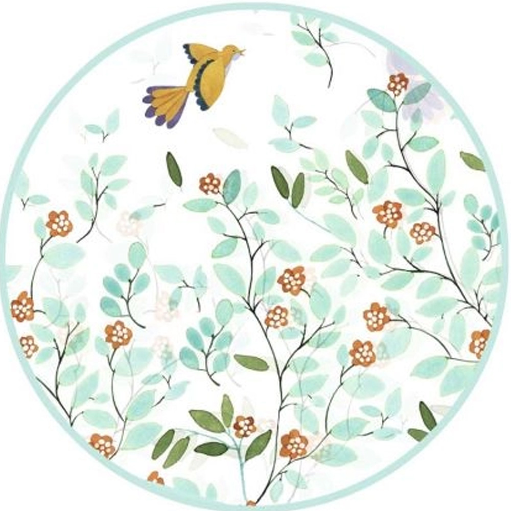 Дождевик DJECO Цветы и птички (DD04681) Детские размеры 5-7 лет (24/26)