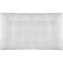 Подушка SOHO 50х70 см Amazing