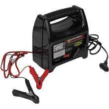 Днепр - Зарядное устройство FORTE CD-6A (49333)