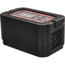 Пуско-зарядное устройство VITALS Master JS 60 mini (196147)