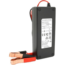 Зарядний пристрій TENGSHUN для акумуляторів Li-ion 25.2V 6S 4A 1.5 м Black (YT-TS-25400)