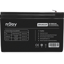 Акумулятор NJOY GPL09122F (BTVACIUOCTA2FCN02B)