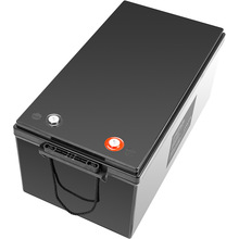 Аккумулятор POWERPLANT LiFePO4 24V 200Ah LFP24200 (NV820641)