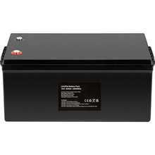 Аккумулятор POWERPLANT LiFePO4 24V 200Ah LFP24200 (NV820641)