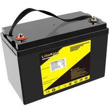 Акумулятор LIITOKALA LiFePO4 12V100Ah (4S2P)