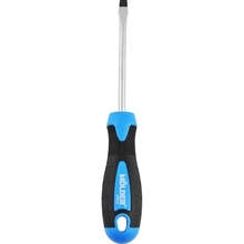 Викрутка MOLDER SL6x100mm (MT32008)