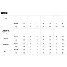 Штани DEWALT Memphis розмір 38 Gray (DWC147-004-3831)