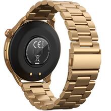 Смарт-часы GELIUS Pro Amazwatch GT3 Bronze Gold (GP-SW010 Bronze Gold)