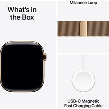Смарт-часы APPLE Watch Series 10 GPS+Cellular 46mm Gold Tit Case Gold Milan Loop M/L (MX003QH/A)