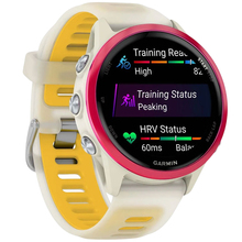 Смарт-годинник GARMIN Forerunner 570