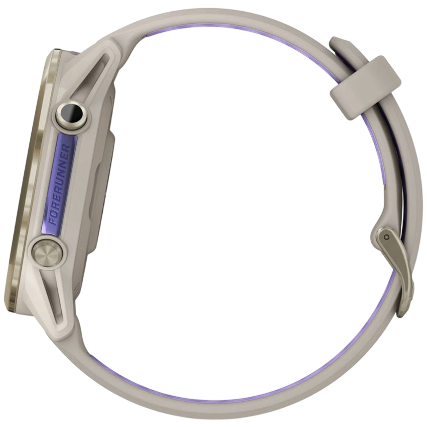Заказать Смарт-часы GARMIN Forerunner 970 French Gray/Indigo