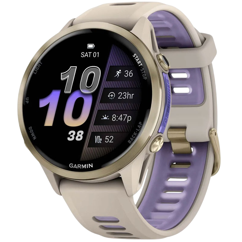 Смарт-часы GARMIN Forerunner 970 French Gray/Indigo