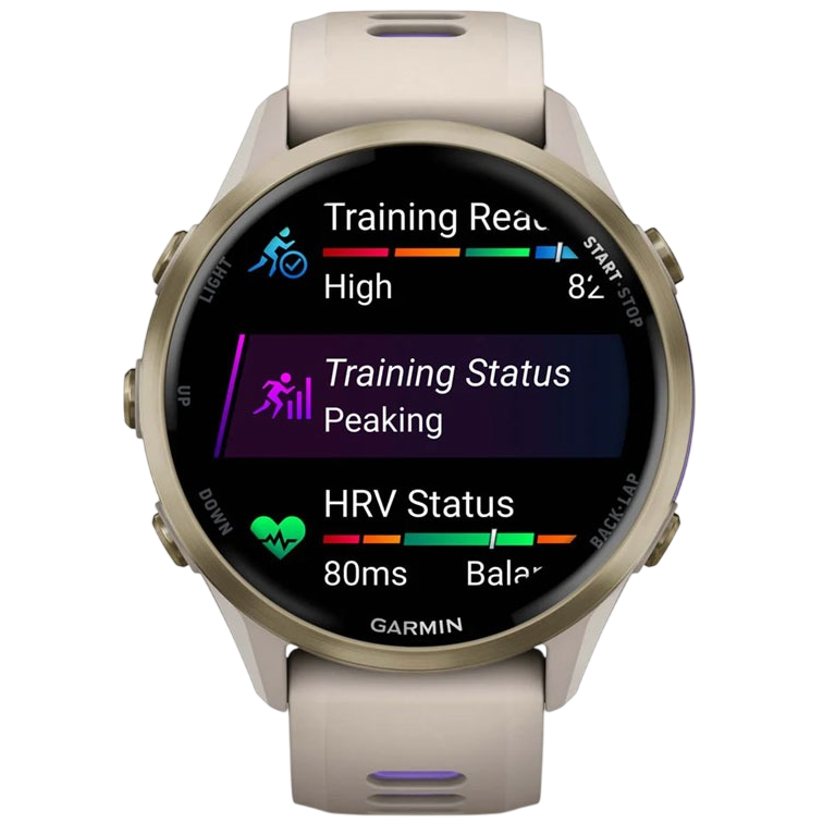 Внешний вид Смарт-часы GARMIN Forerunner 970 French Gray/Indigo