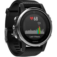 Смарт-часы GARMIN fenix 5S Silver with black band (010-01685-02)